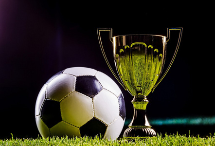 过智能行为 过智能行为